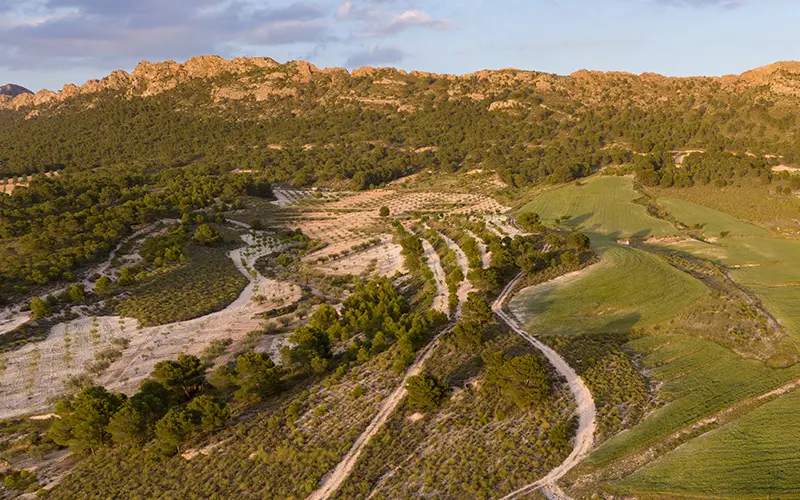 Panorámica de La Cingla Panorámica de La Cingla