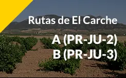 port ruta carche