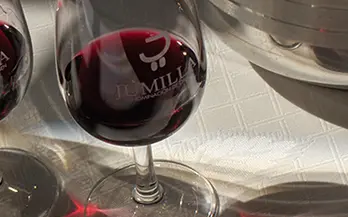 Vinos de Jumilla D.O.P.